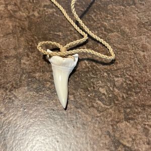 Hand Carved Buffalo Bone Sharks Tooth with Adjustable Cord